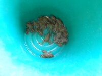 DSCN2032.JPG