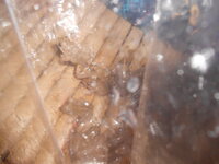 DSCN2035.JPG