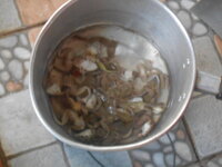 DSCN2042.JPG
