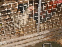 DSCN2049.JPG