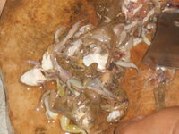 DSCN2047.JPG