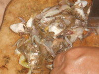 DSCN2045.JPG