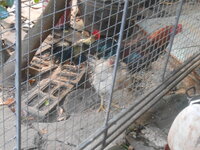 DSCN2050.JPG
