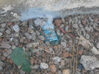 DSCN2098.JPG