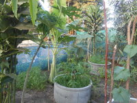 DSCN2100.JPG