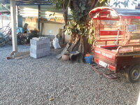 DSCN2083.JPG