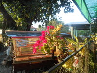 DSCN2082.JPG