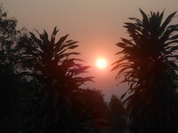 DSCN2241.JPG
