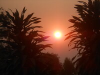 DSCN2242.JPG
