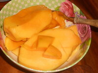 DSCN2104.JPG