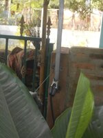 IMG_20190826_214106.jpg