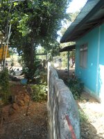 IMG_20190826_214031.jpg