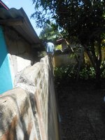 IMG_20190826_214016.jpg