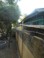 IMG_20190826_214239.jpg