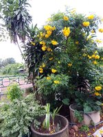 IMG_20231027_171331_508.jpg