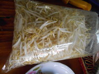 DSCN9381.JPG