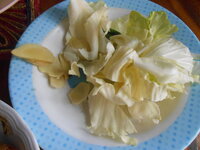 DSCN9382_new.jpg