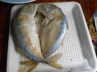 DSCN9384_new.jpg