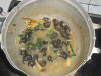 DSCN1951.JPG
