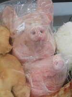 IMG_20200917_101306.jpg