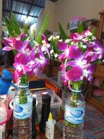 IMG_20231028_192509_961.jpg