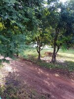 IMG_20231029_075757_044.jpg