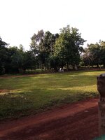 IMG_20231029_075631_534.jpg