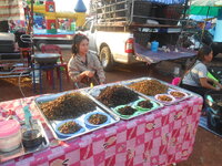 DSCN2173.JPG