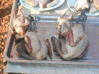 DSCN2158.JPG