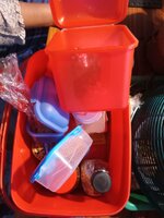 IMG_20231029_170107_404.jpg
