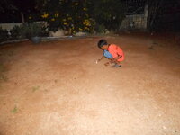 DSCN3667.JPG