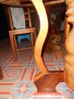 DSCN3676~2.JPG
