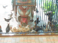 DSCN3458.JPG