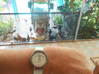 DSCN3457.JPG