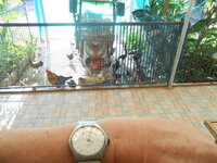DSCN3456.JPG