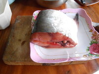 DSCN3552.JPG
