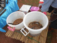 DSCN3568.JPG