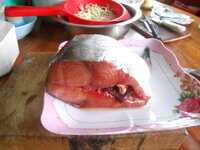 DSCN3553.JPG