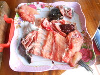 DSCN3556.JPG
