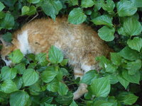 DSCN3491.JPG