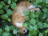 DSCN3490.JPG