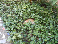 DSCN3492.JPG