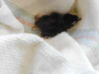 DSCN3560.JPG