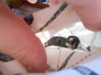DSCN3550.JPG