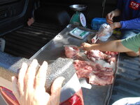 DSCN3436.JPG