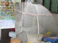 DSCN3516.JPG