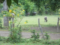 DSCN3522.JPG