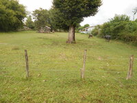 DSCN3527.JPG
