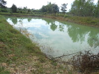 DSCN3528.JPG