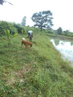DSCN3529~2.JPG